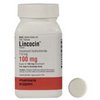 Buy Lincocin No Prescription